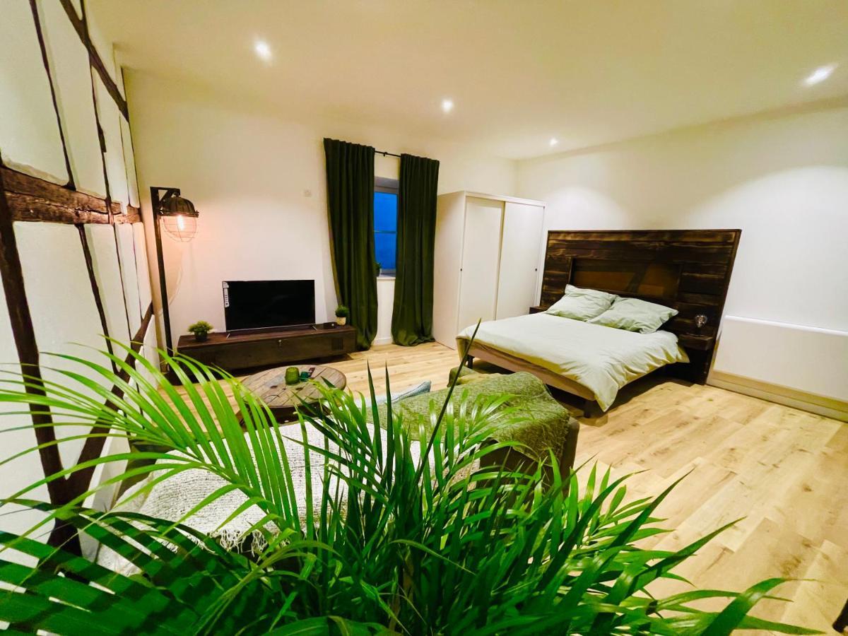 Apartmán Le Ptit Chauffour - Hyper Centre De Colmar & Au Calme Exteriér fotografie